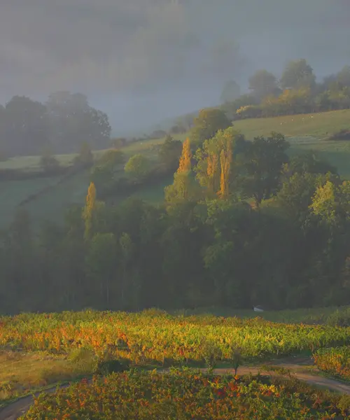 L’Aveyron,<br> <i>terre</i> de tradition