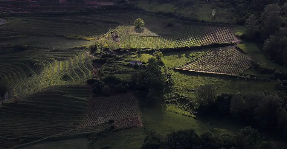 Liadou du Vallon,  Artisan Coutelier Français